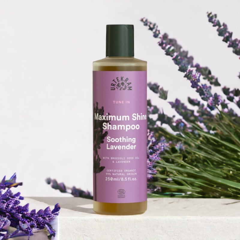 Shampoo Purple Lavender-Urtekram