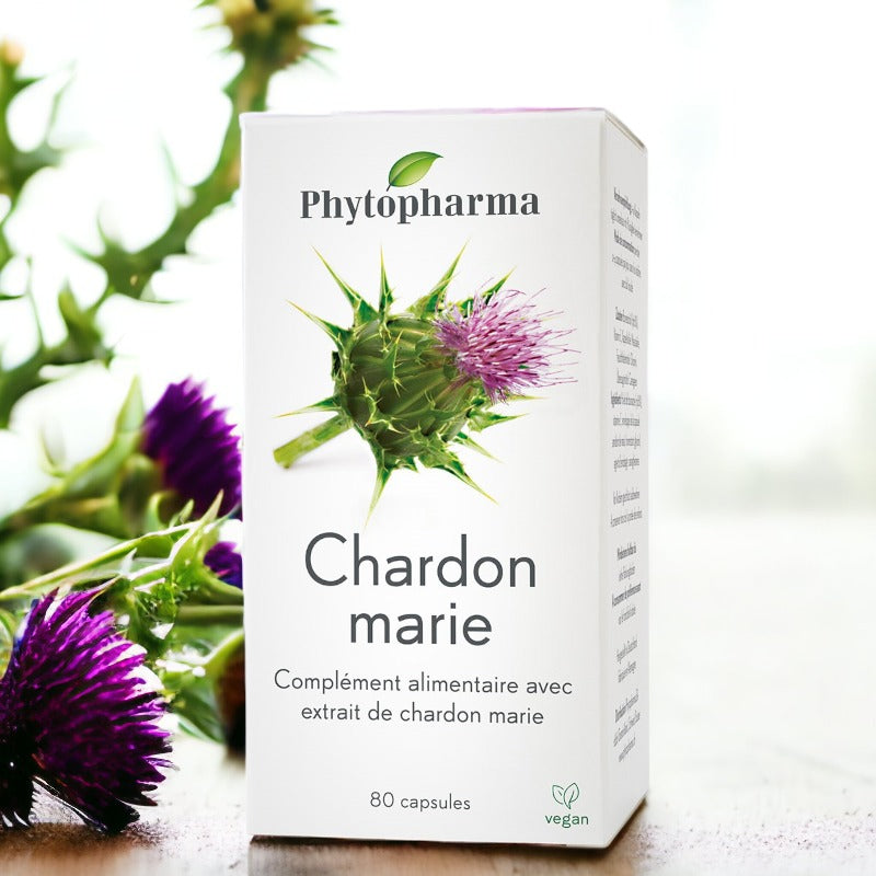 Chardon marie-Phytopharma