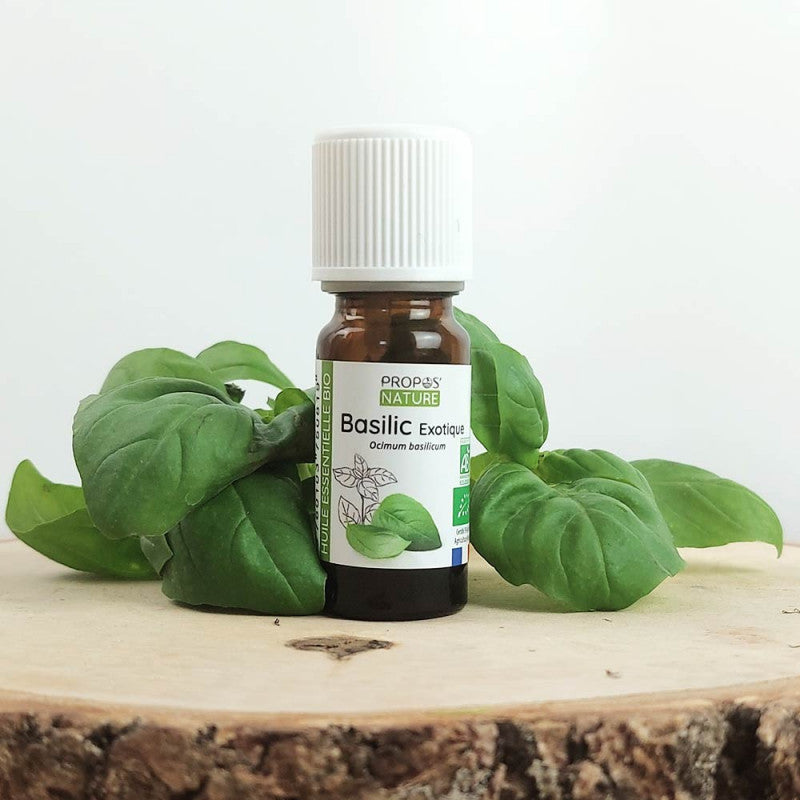 Huile essentielle Basilic Exotique Bio